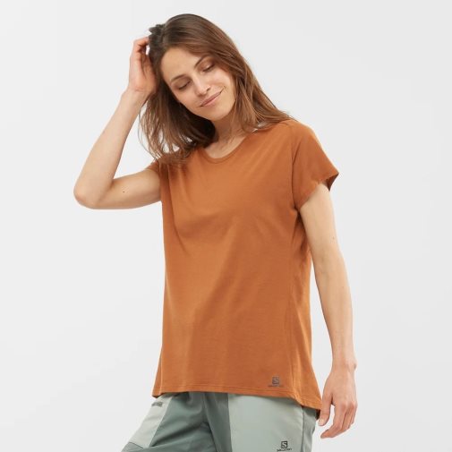 Brown Salomon Essential Shaped Short Sleeve Women's T-Shirts | PH 30456D